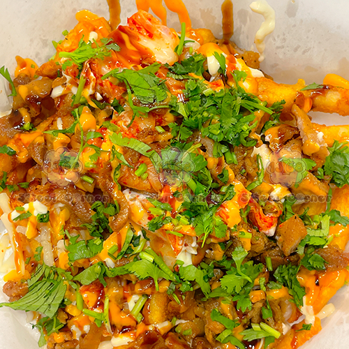 LOADED FRIES